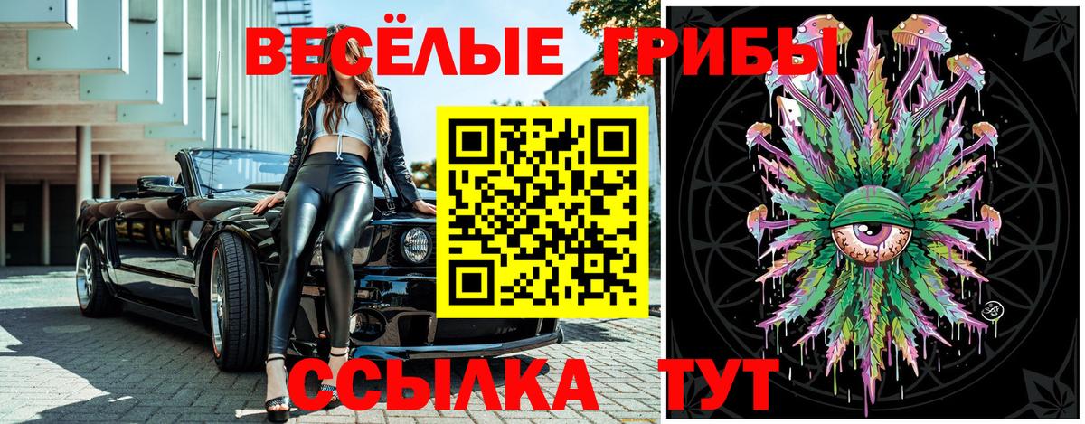 Псилоцибиновые грибы ЛСД Чапаевск