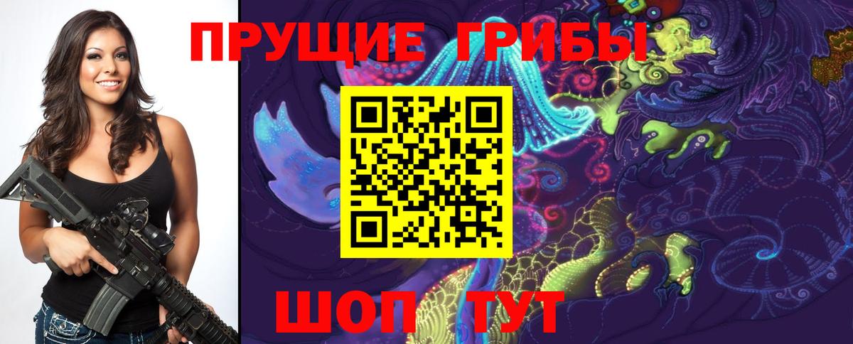 Галлюциногенные грибы Psilocybe  Вход с VPN  Чапаевск 